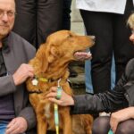 Lons-le-Saunier. Un chien apporte de la joie aux enfants en danger