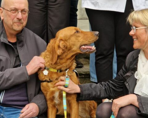 Lons-le-Saunier. Un chien apporte de la joie aux enfants en danger