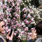 Pourquoi le printemps commence-t-il le 20 mars cette année et non le 21 ?