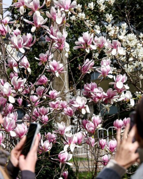 Pourquoi le printemps commence-t-il le 20 mars cette année et non le 21 ?