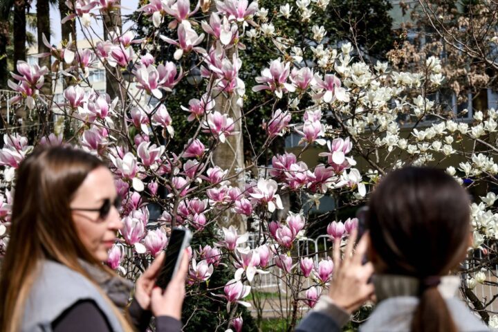 Pourquoi le printemps commence-t-il le 20 mars cette année et non le 21 ?