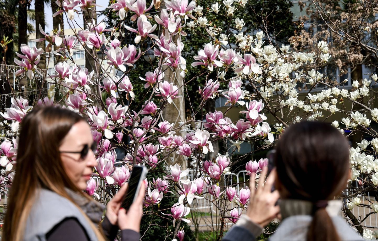 Pourquoi le printemps commence-t-il le 20 mars cette année et non le 21 ?