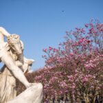 Printemps en France : soleil initial et averses prévues ce week-end