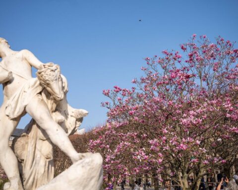 Printemps en France : soleil initial et averses prévues ce week-end
