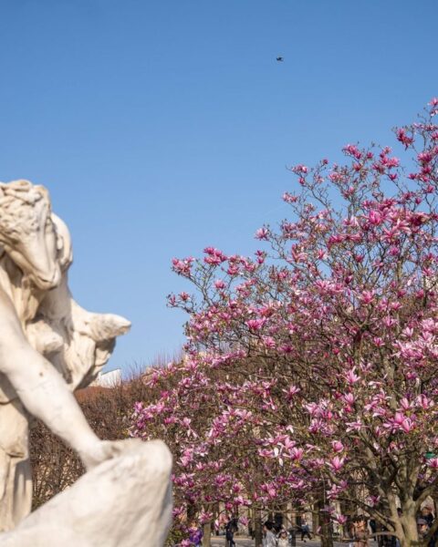 Printemps en France : soleil initial et averses prévues ce week-end