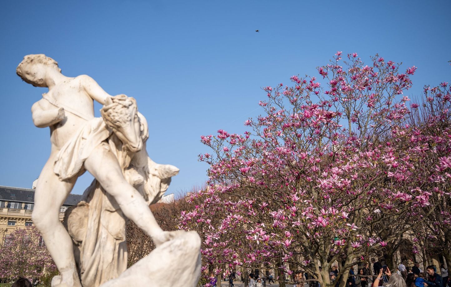 Printemps en France : soleil initial et averses prévues ce week-end