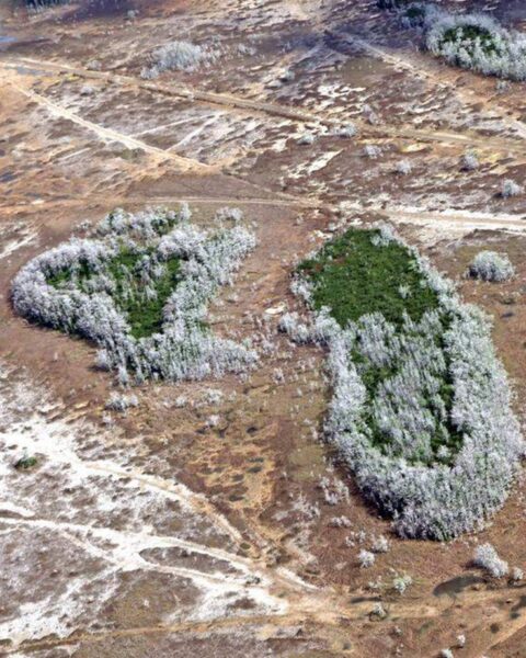 Réchauffement climatique : la chaleur accumulée par la Terre atteint un niveau record en 2025, selon l'ONU