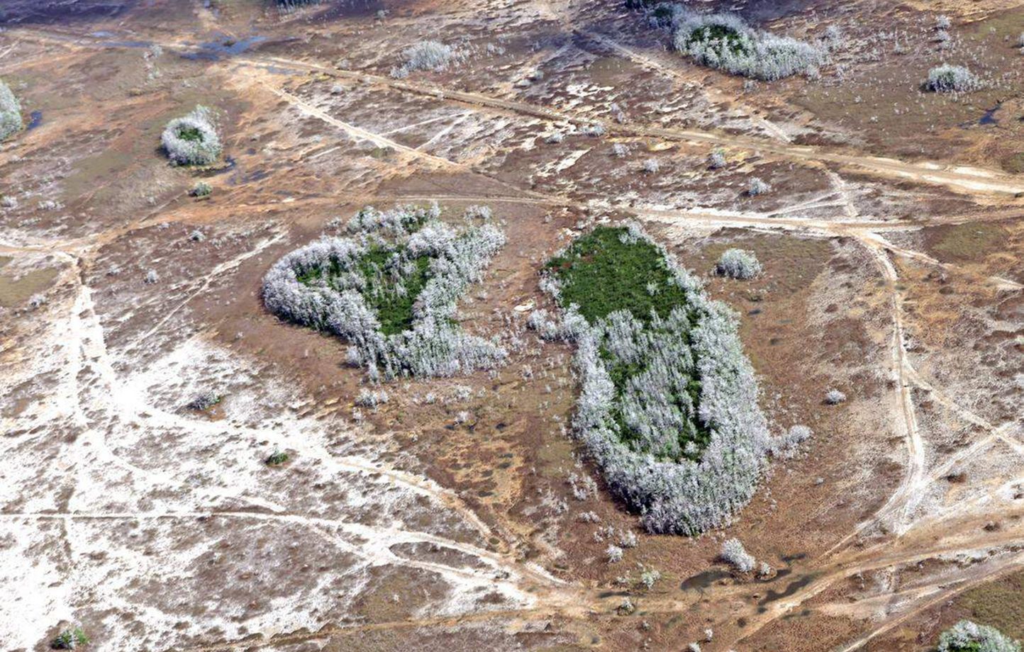 Réchauffement climatique : la chaleur accumulée par la Terre atteint un niveau record en 2025, selon l'ONU