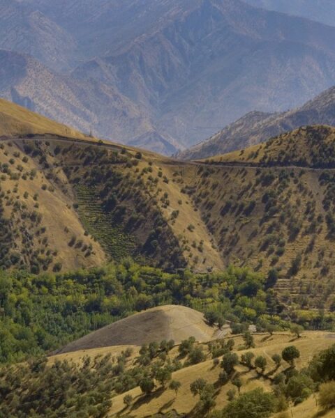 Un soldat français tué en Irak : la milice pro-iranienne Ashab al-Kahf menace les intérêts français