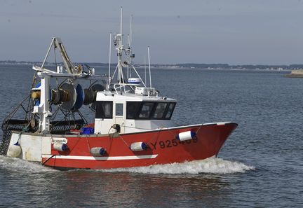 Aides aux carburants : le CNPMEM salue une avancée, mais appelle à des mesures plus fortes