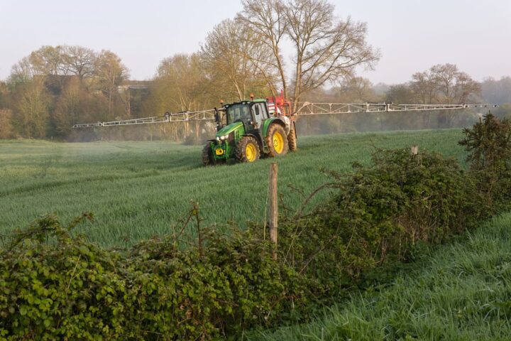 Cadmium : la dépollution des sols agricoles en France face à des défis complexes