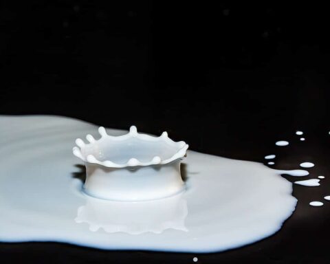 Crise au Moyen-Orient : les raisons de l'augmentation du prix du lait