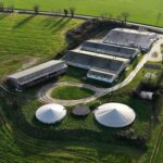 Des accusations de mauvais traitements dans un élevage porcin de Bretagne révèlent des pratiques illégales