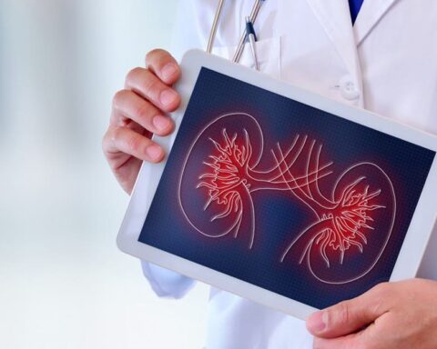 Des chercheurs identifient une protéine clé dans la progression des maladies rénales chroniques