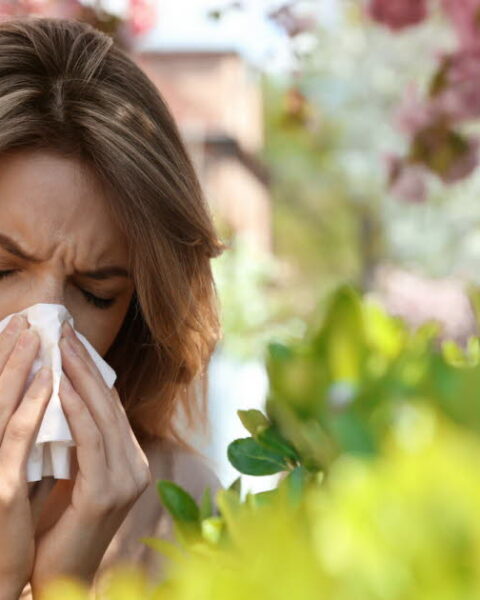Devenir allergique à l'âge adulte : une réalité pour près de deux millions d'adultes français