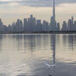 Dubaï, une ville résiliente : la diversité comme force au cœur des défis actuels