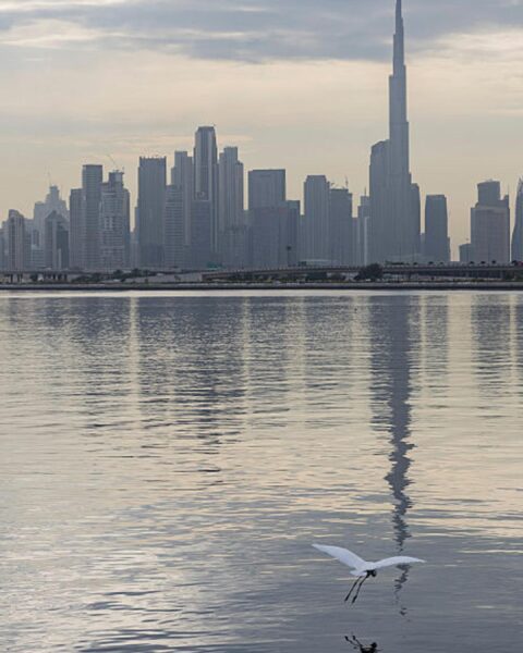 Dubaï, une ville résiliente : la diversité comme force au cœur des défis actuels