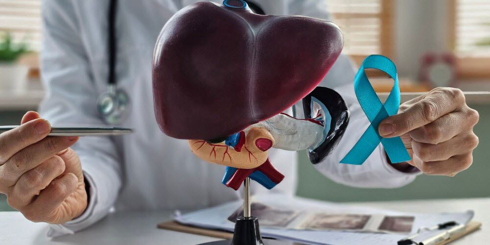 Fibrose hépatique : 1,5 % des adultes ignorent leur état de santé, selon une étude européenne