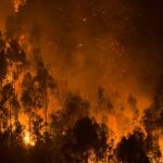 Incendie en Lozère : 110 hectares touchés, le feu désormais circonscrit