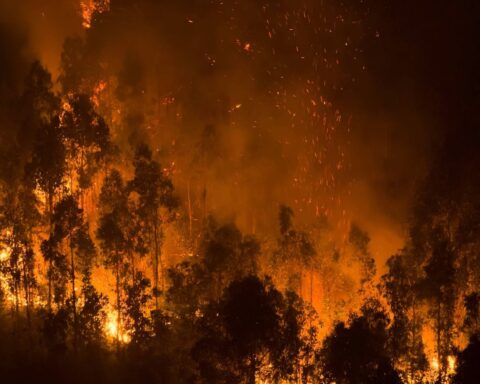 Incendie en Lozère : 110 hectares touchés, le feu désormais circonscrit