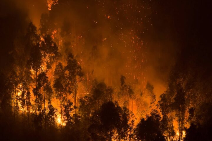 Incendie en Lozère : 110 hectares touchés, le feu désormais circonscrit