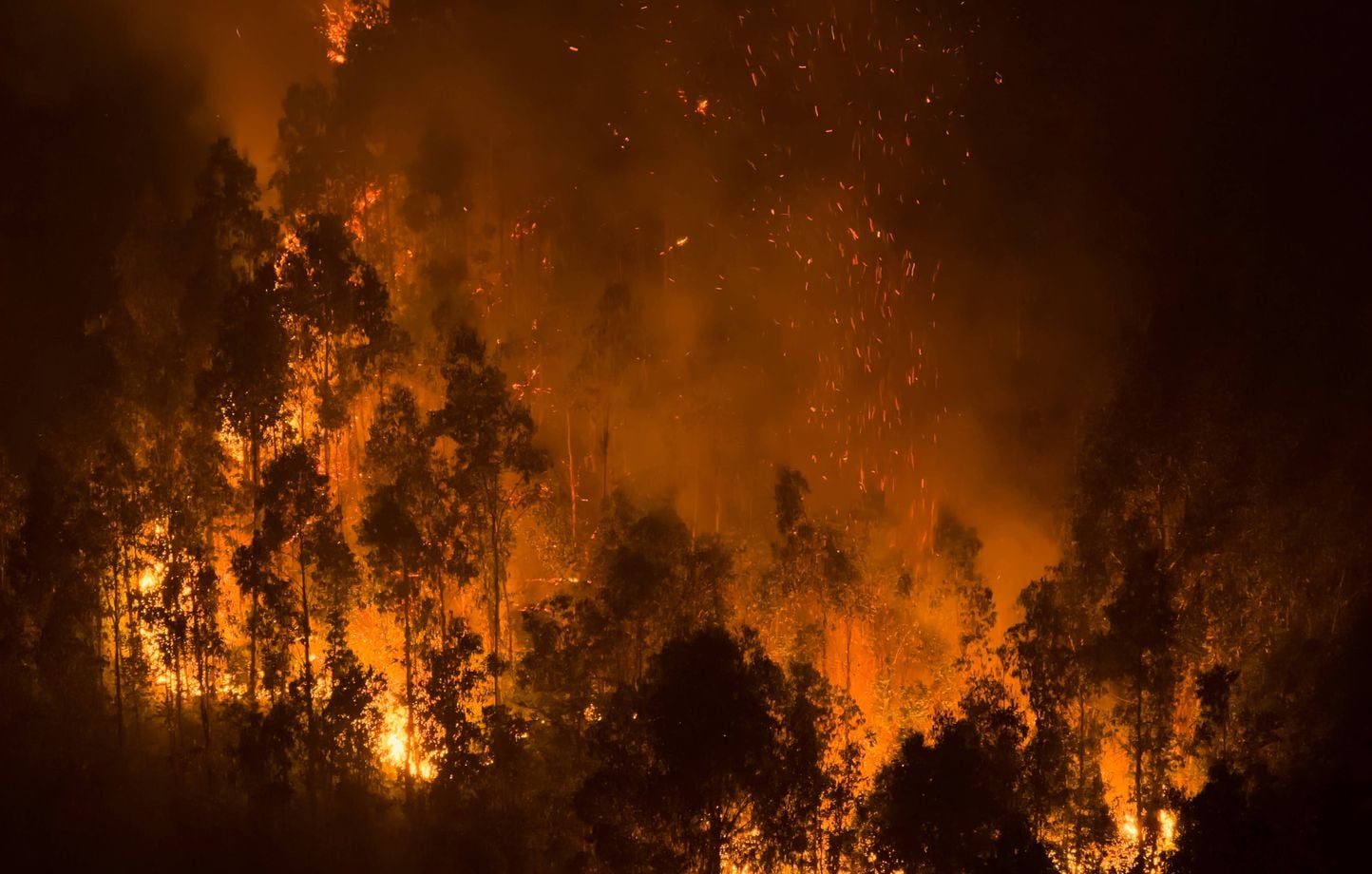 Incendie en Lozère : 110 hectares touchés, le feu désormais circonscrit