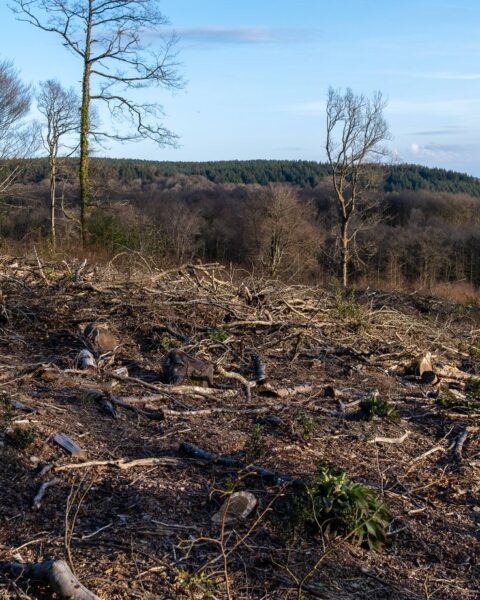 Jour du dépassement de la Terre pour la France ce vendredi, avertit le WWF