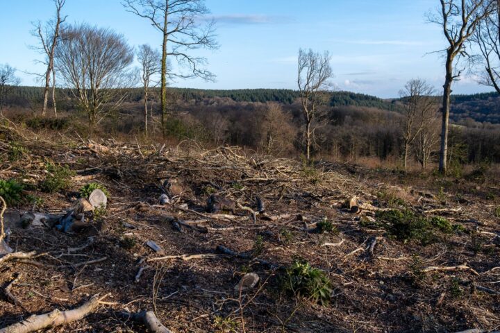 Jour du dépassement de la Terre pour la France ce vendredi, avertit le WWF