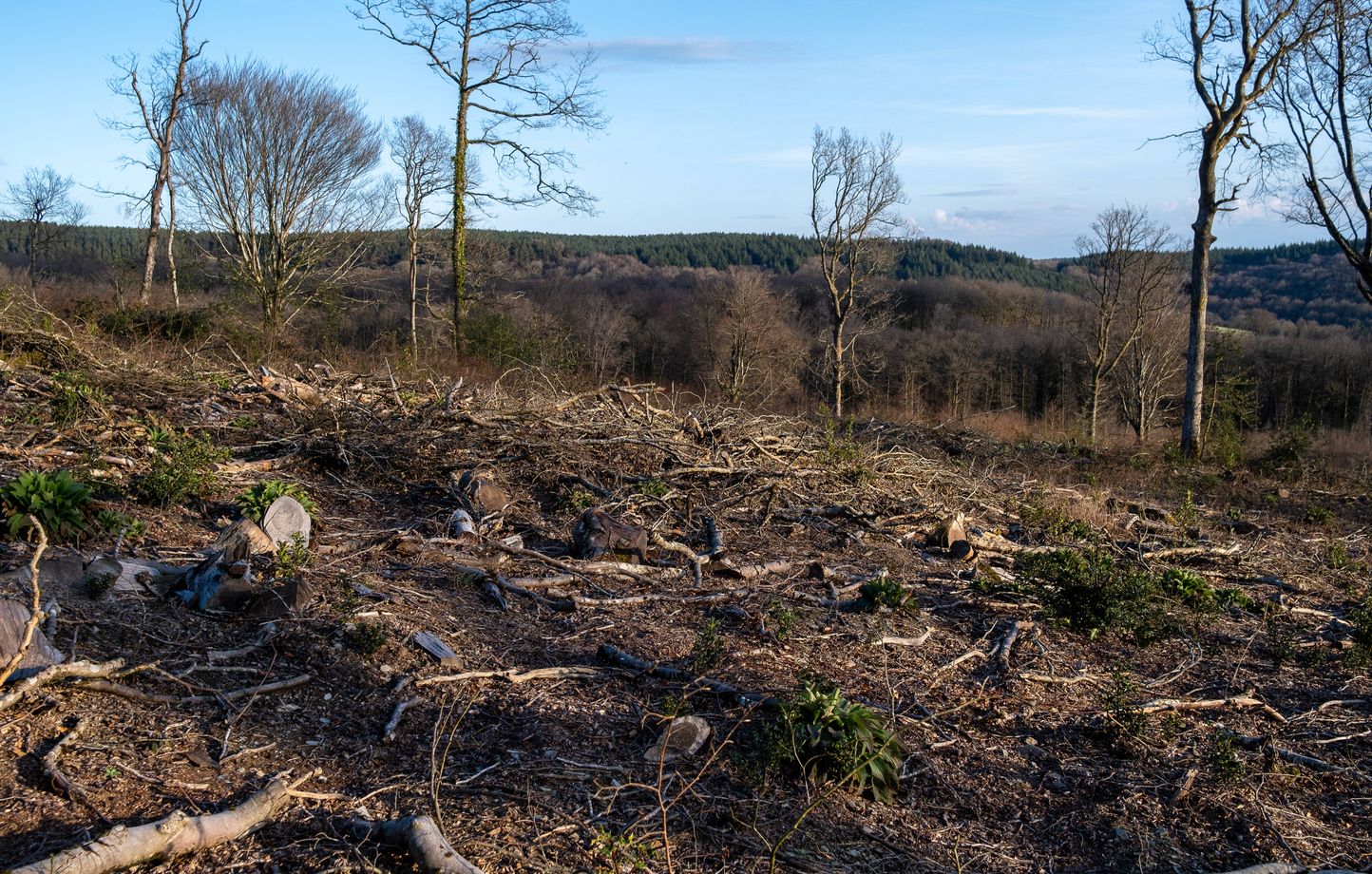 Jour du dépassement de la Terre pour la France ce vendredi, avertit le WWF