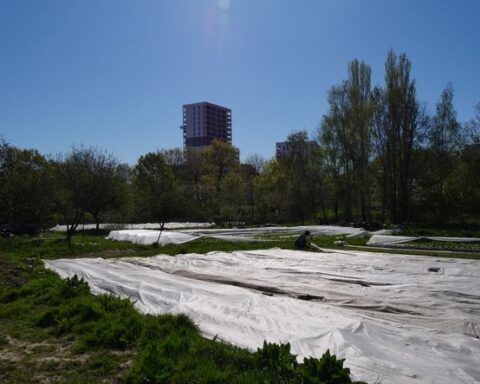 La ferme de Quincé à Rennes : une initiative pour rendre l'agriculture urbaine visible