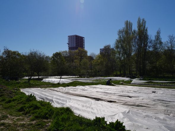 La ferme de Quincé à Rennes : une initiative pour rendre l'agriculture urbaine visible