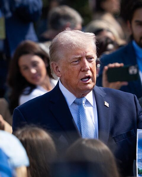 La proposition de l'arc triomphal de Trump suscite des oppositions à Arlington et doit être évaluée par la Commission des beaux-arts