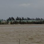 La tomate cerise française face à la concurrence marocaine : opportunité dans un contexte de crise climatique