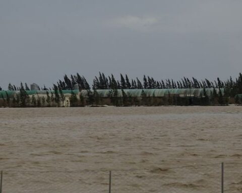 La tomate cerise française face à la concurrence marocaine : opportunité dans un contexte de crise climatique