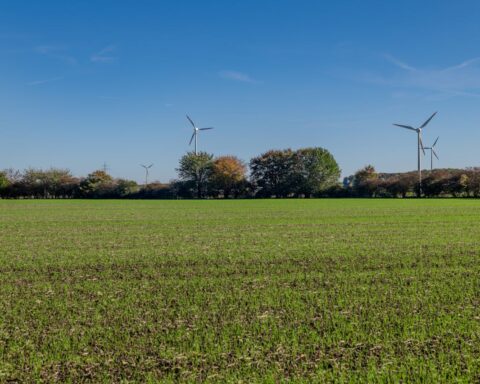 La transition vers la neutralité carbone nécessitera ces 20 projets, d'après The Shift Project.