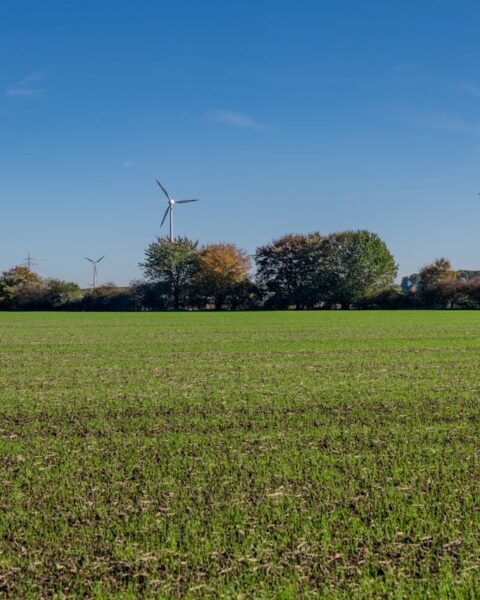 La transition vers la neutralité carbone nécessitera ces 20 projets, d'après The Shift Project.