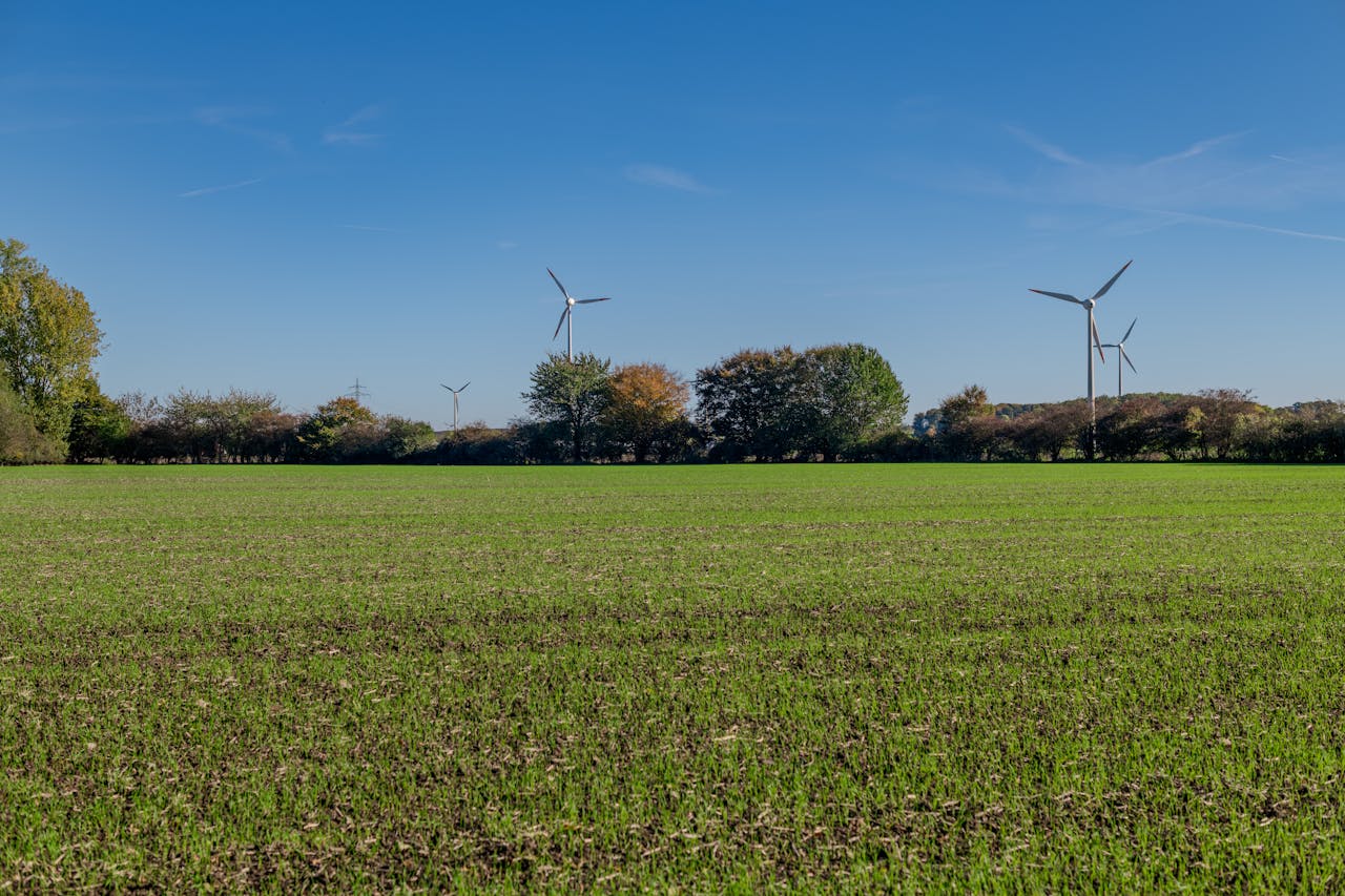 La transition vers la neutralité carbone nécessitera ces 20 projets, d'après The Shift Project.