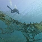 Le G7 de l'environnement à Paris : priorités sur biodiversité, océans et désertification