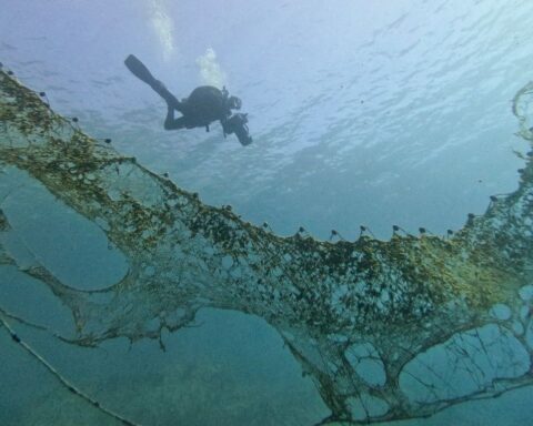 Le G7 de l'environnement à Paris : priorités sur biodiversité, océans et désertification