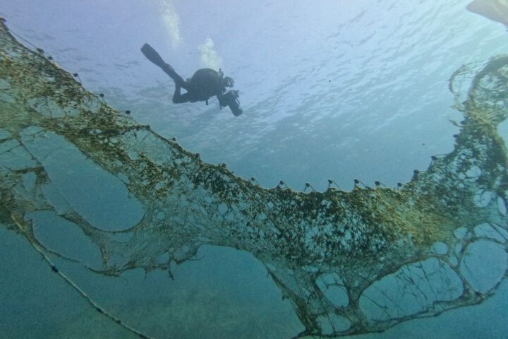 Le G7 de l'environnement à Paris : priorités sur biodiversité, océans et désertification