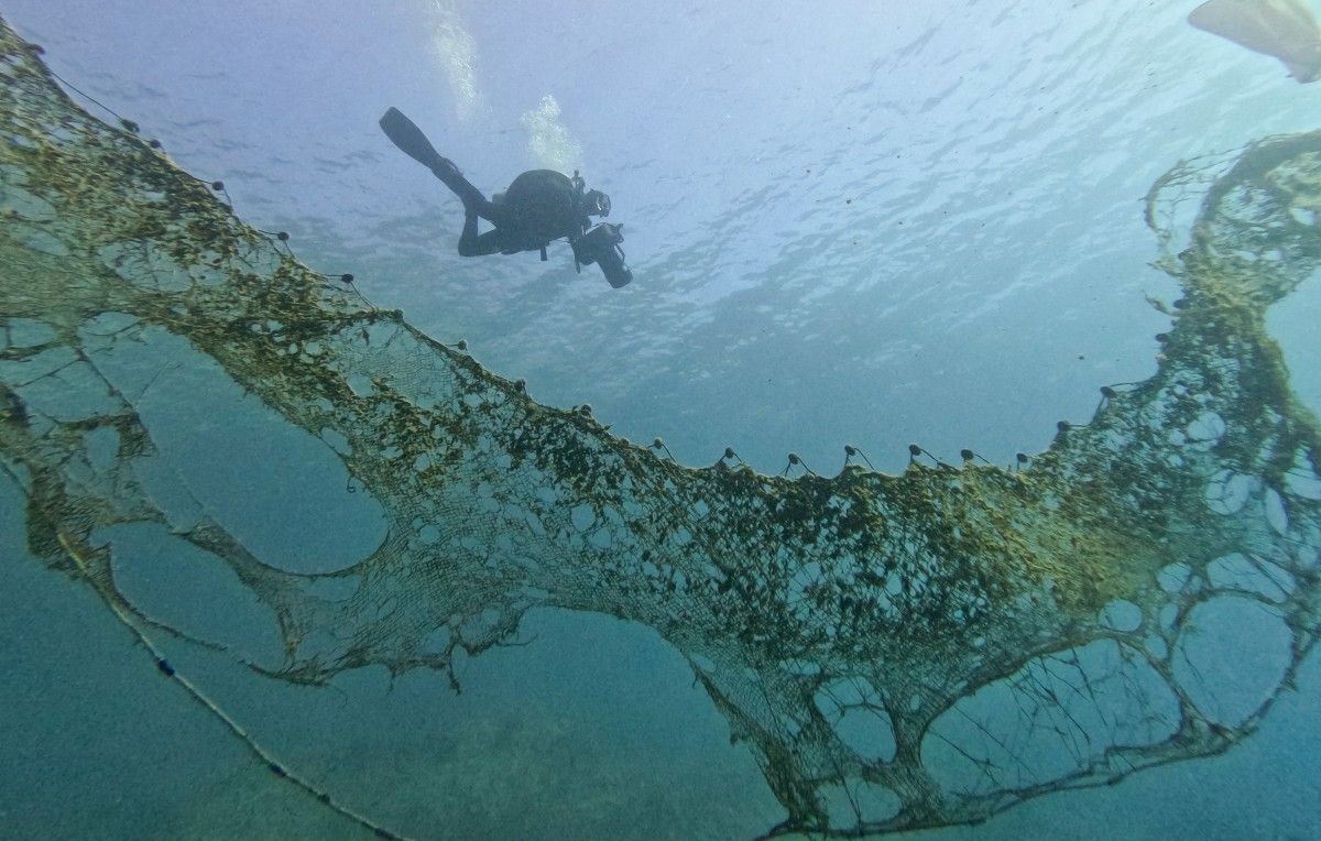 Le G7 de l'environnement à Paris : priorités sur biodiversité, océans et désertification