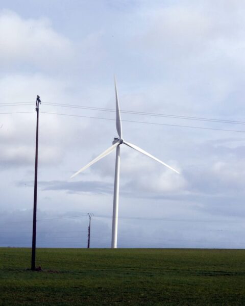Le gouvernement lance de nouveaux appels d’offres pour l’éolien et le solaire en France