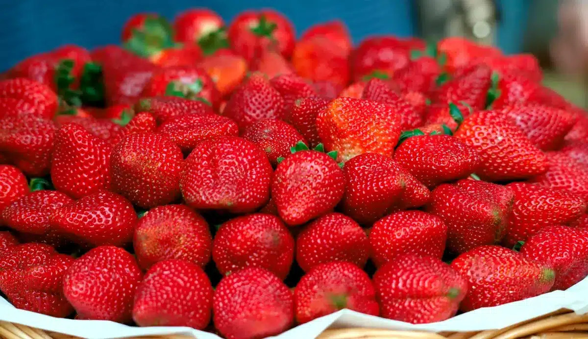 Les maraîchers français expliquent pourquoi les prix des fraises chez votre marchand ont été divisés par deux.