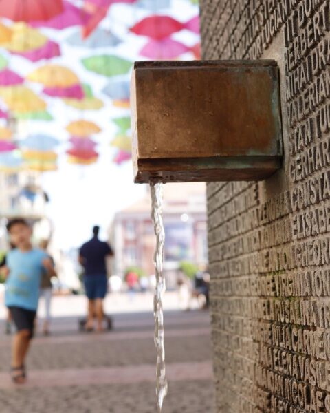 L'État poursuivi en justice pour contamination de l'eau potable par des pesticides.