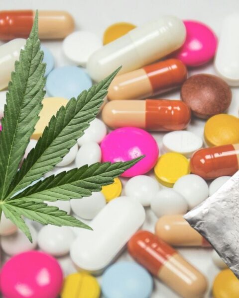 L'impact environnemental méconnu de la production de drogues en Europe : un coût écologique majeur