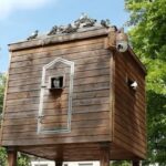 Rennes met en place un pigeonnier contraceptif pour réguler la population de pigeons