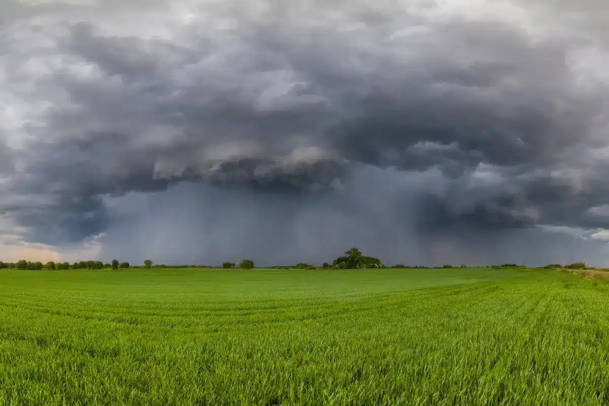 Retour de la pluie et des orages en France dès la semaine prochaine, met en garde Météo-France.