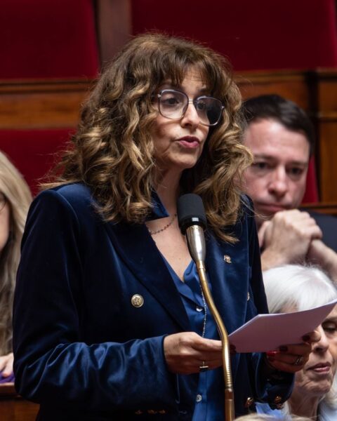 Retrait de la loi Yadan : le gouvernement présente un nouveau projet contre l'antisémitisme en juin