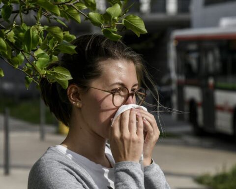 Rhône. Les allergies respiratoires en hausse à cause de la pollution et du pollen