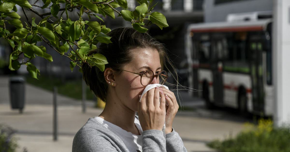 Rhône. Les allergies respiratoires en hausse à cause de la pollution et du pollen